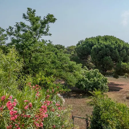 Charming With Terrace Near The Beaches * Hyeres